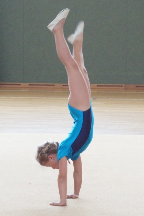 Bild DSC00488