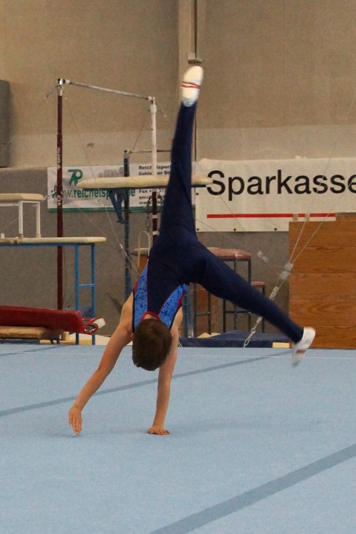 Bild 8242