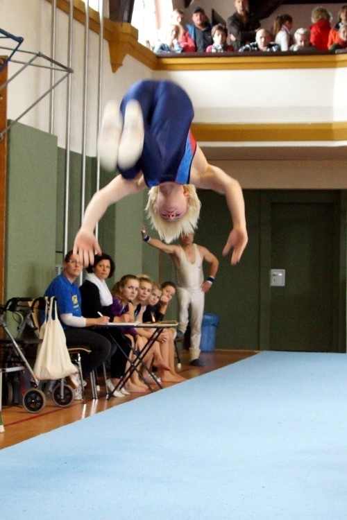 Bild 229