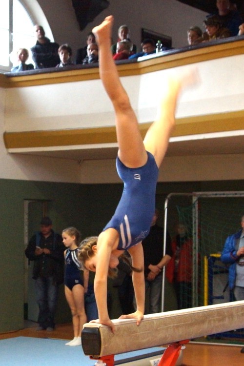 Bild 459