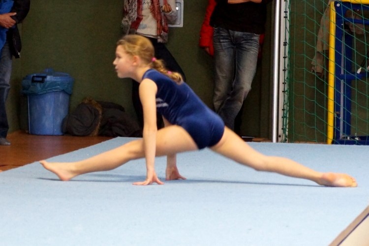 Bild 485